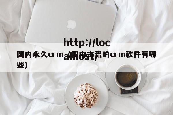 国内永久crm（国内主流的crm软件有哪些）